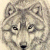 :icondaniels-:
