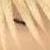 :icondanielut: