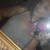 :icondanii123: