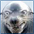 :icondaniieliitha42: