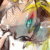 :icondanimefreack: