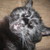 :icondanine1114: