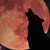 :icondaninuzuka: