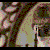 :icondanipaknight: