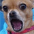 :icondanisakuowo:
