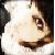 :icondanispook: