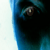 :icondanmcilroy: