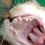 :icondannayasunaky: