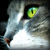 :icondanni-louise: