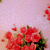 :icondanni4573: