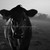 :icondanny-butler: