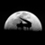 :icondannyl230: