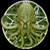 :icondante-stygian: