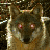 :icondante-xavier: