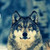 :icondante01373: