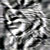 :icondante151: