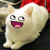:icondantedesertfox: