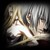 :icondantedevilknight: