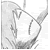 :icondanthe57: