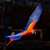 :icondany-the-red:
