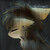 :icondappleleaf-skyclan: