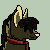 :icondapplemutt: