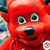 :icondapupseg: