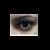 :icondarbeecult: