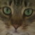 :icondarblefig: