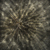 :icondaretodream0016: