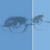 :icondarhorn:
