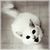:icondariaalexeevna: