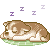 :icondariaroshal: