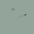 :icondarimdesign: