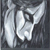 :iconDark-Angel6974:
