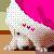 :iconDark-Angelz: