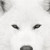 :icondark-chaos-blade: