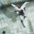 :icondark-elf58: