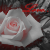 :icondark-hanyou: