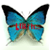 :icondark-hikaru: