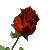 :iconDark-Ink: