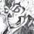 :icondark-knight4: