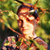 :icondark-lavender:
