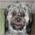 :icondark-lineage: