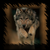 :icondark-lioncourt: