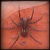 :iconDark-Matt-Er: