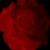 :icondark-moon-rising: