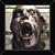 :icondark-night-lp: