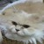 :icondark-noisulli: