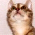 :iconDark-Queen-Thaos: